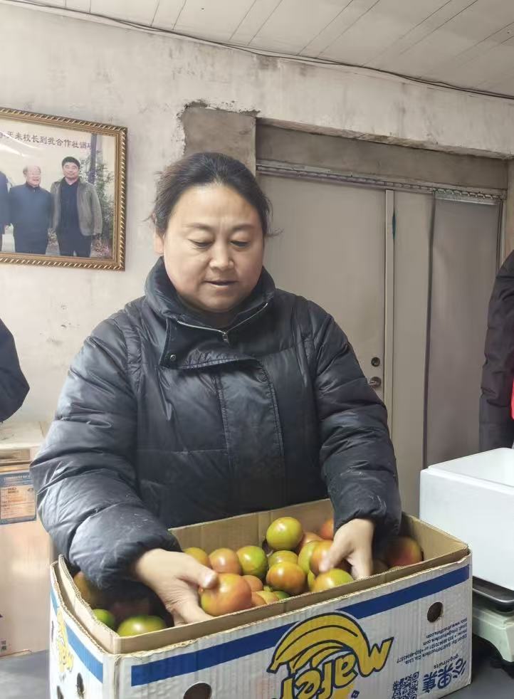 铁皮柿子分拣与包装